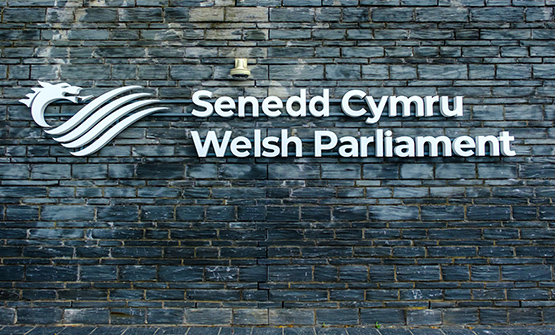 Ni ddylid defnyddio newidiadau i derfynau amser cwynion y Senedd i “ddechrau â llechen lân”