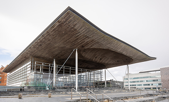 FDA calls on Senedd to implement “fully independent process for dealing with complaints of bullying, harassment and sexual harassment”